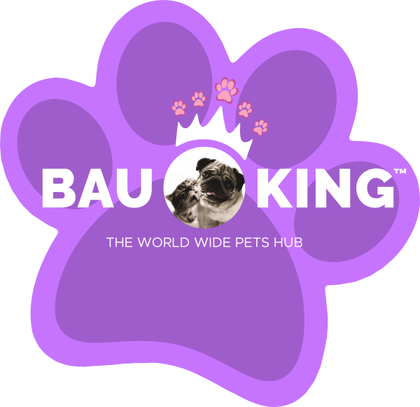 Bauking