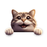 Gatto