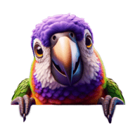 Pappagallo